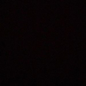 Meet your Posher, Carl